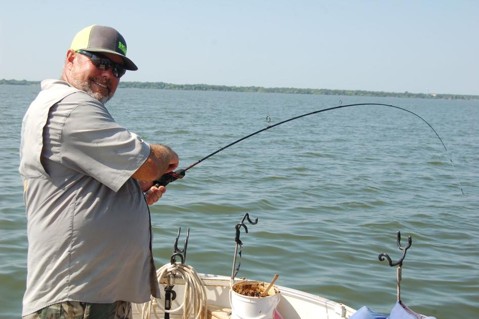 Catching And Eating Fryer Size Channel Catfish Opinion