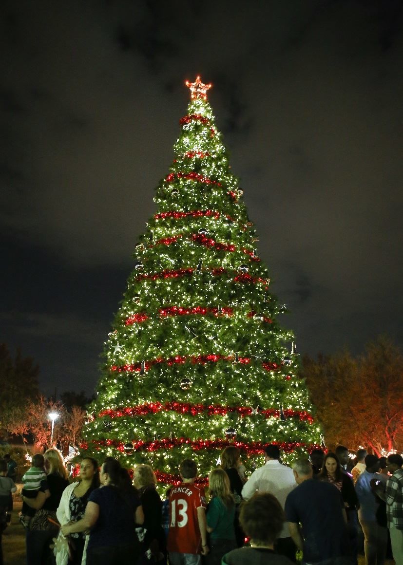 city of allen preparing new improved christmas tree city of allen preparing new improved christmas tree