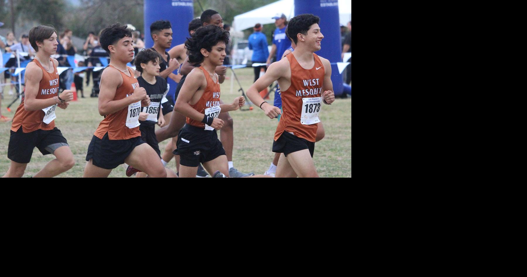 Running to Round Rock: Local cross country athletes qualify for state ...