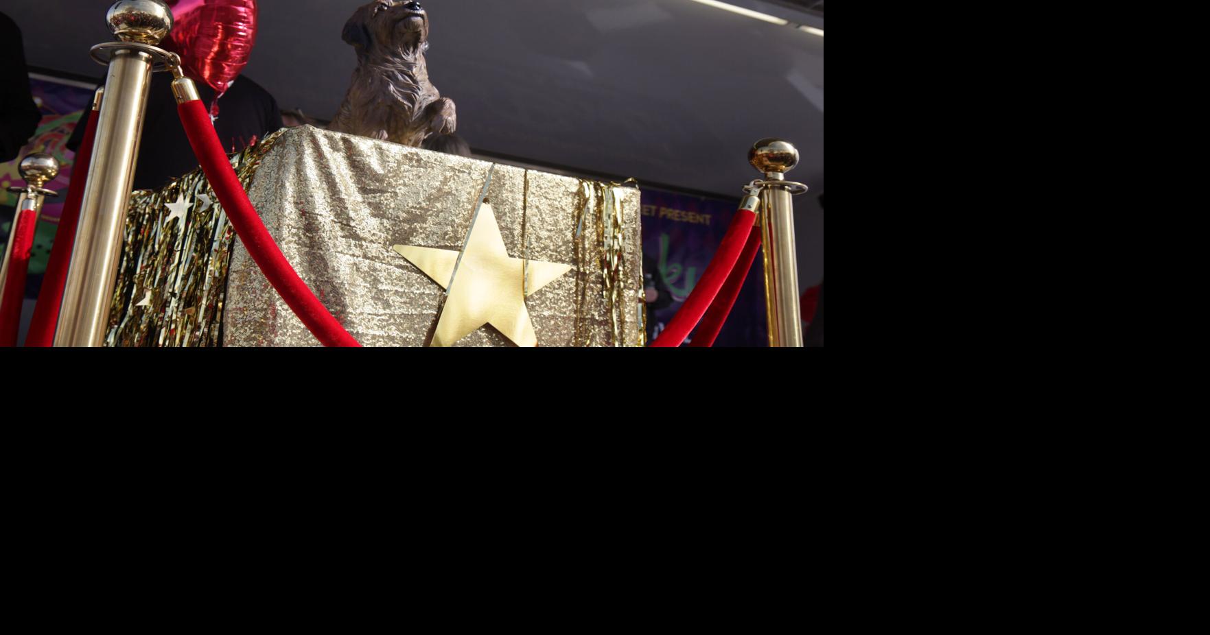 PHOTOS McKinney unveils 'Benji' statue at Krewe of Barkus event