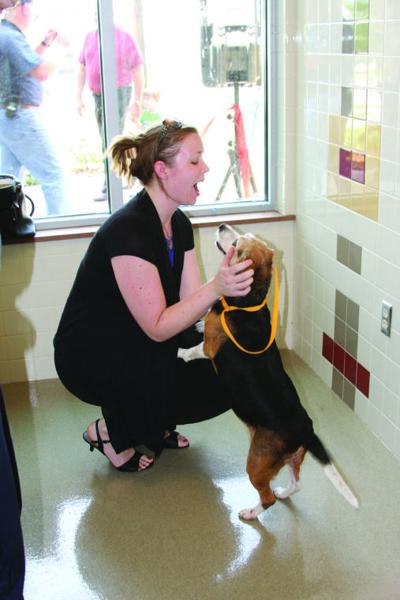 Carrollton opens new animal shelter | News | starlocalmedia.com