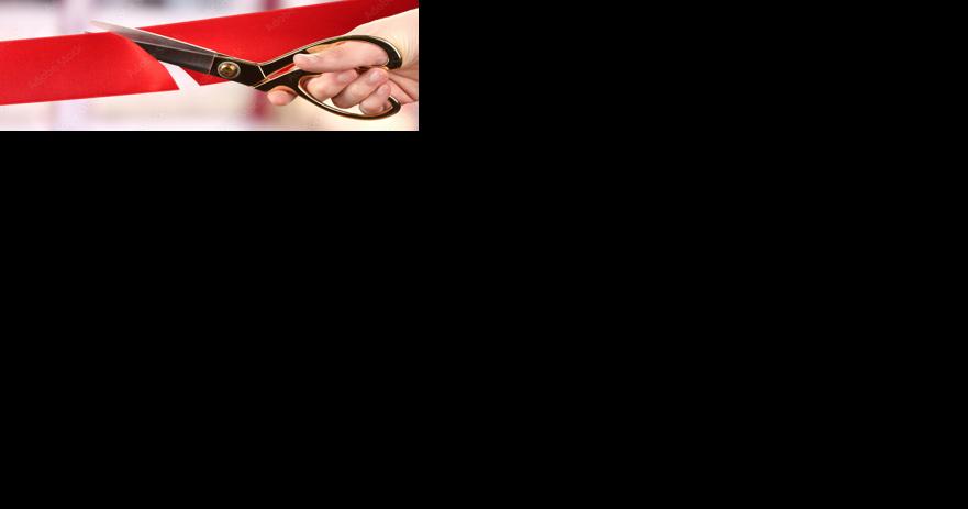 Carrollton Business Briefs: New electronic equipment company opening and other updates - Vimarsana News