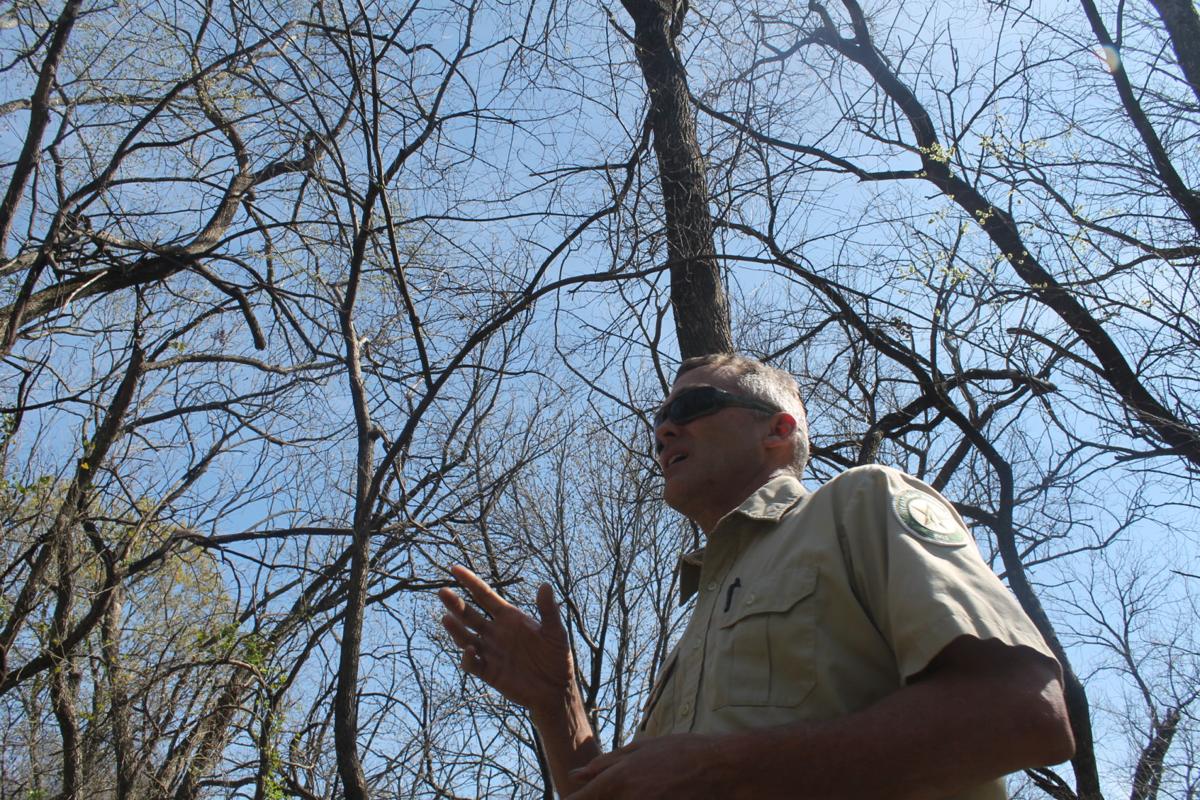 Worst Place For Allergies Plano S Native Trees Grasses Produce