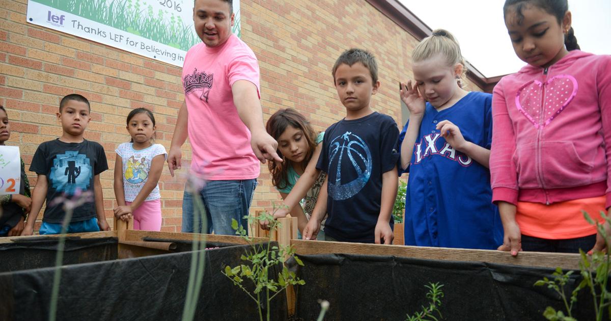 College Street Elementary opens new garden | News | starlocalmedia.com college-street-elementary-opens-new-garden-news-starlocalmedia-com