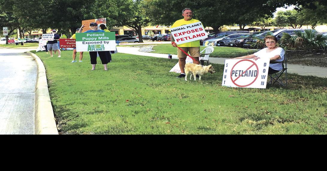 The Colony considering pet store regulations News