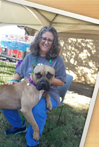 Profile: Lewisville animal shelter volunteer dedicates time to furry  friends | News 