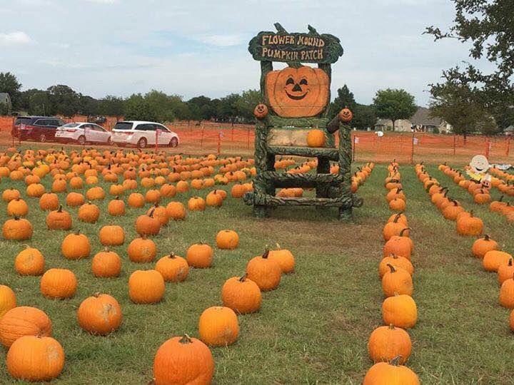 Flower Mound Pz Recommends Denial For Cvs At The Pumpkin Patch News Starlocalmediacom