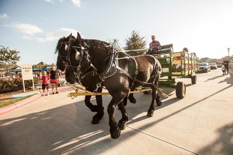Castle Hills to host fall festival News