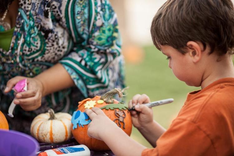 Castle Hills to host fall festival News