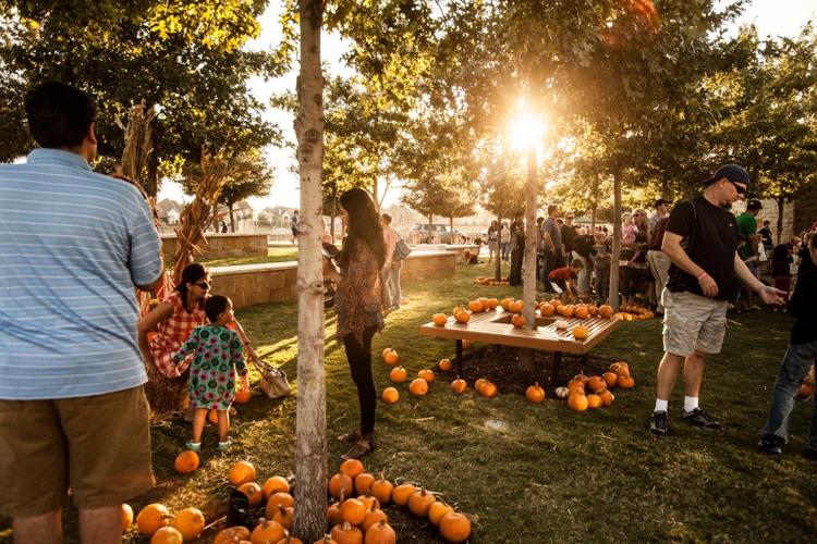 Castle Hills to host fall festival News