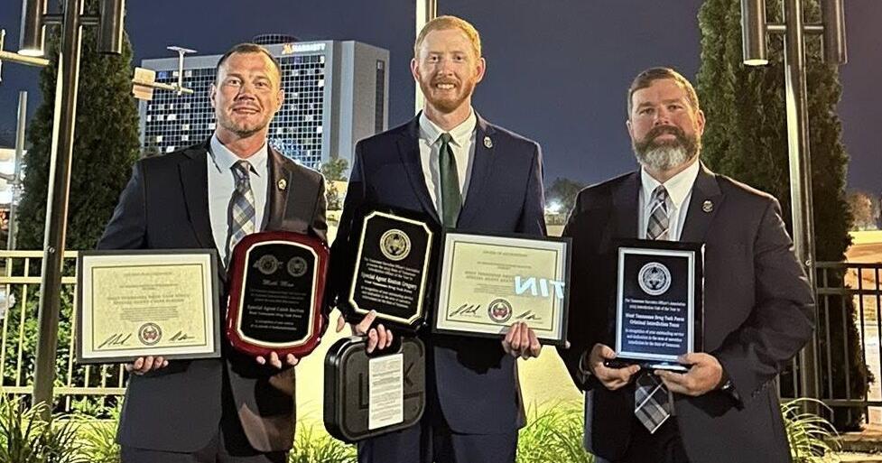 West Tennessee task force tops state honors