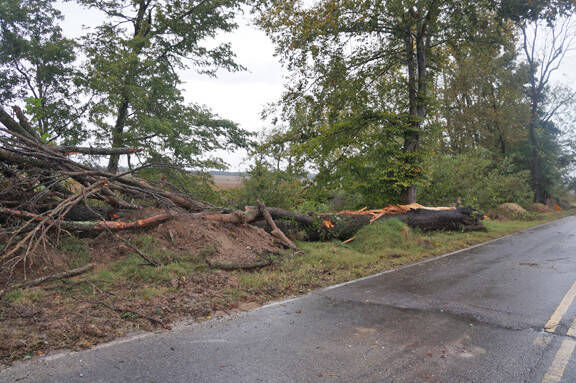 High winds cause damage, power outages | News | stategazette.com