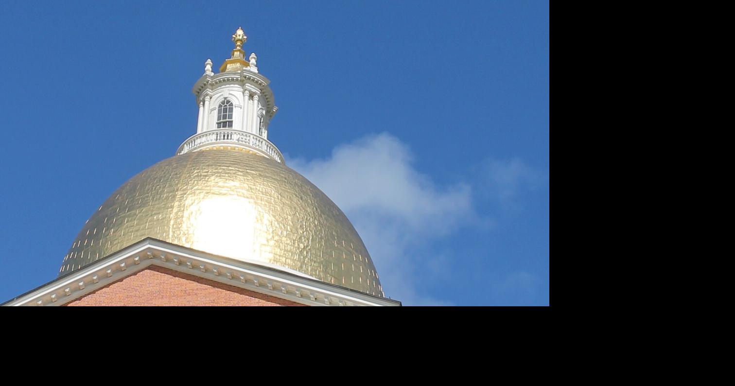 SJC clears major election reform for November vote