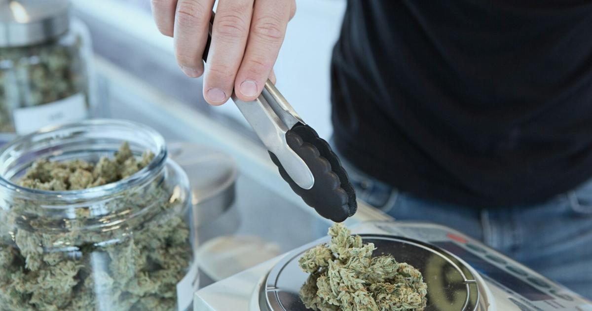 Social pot consumption vote could come by Christmas | Cannabis ...