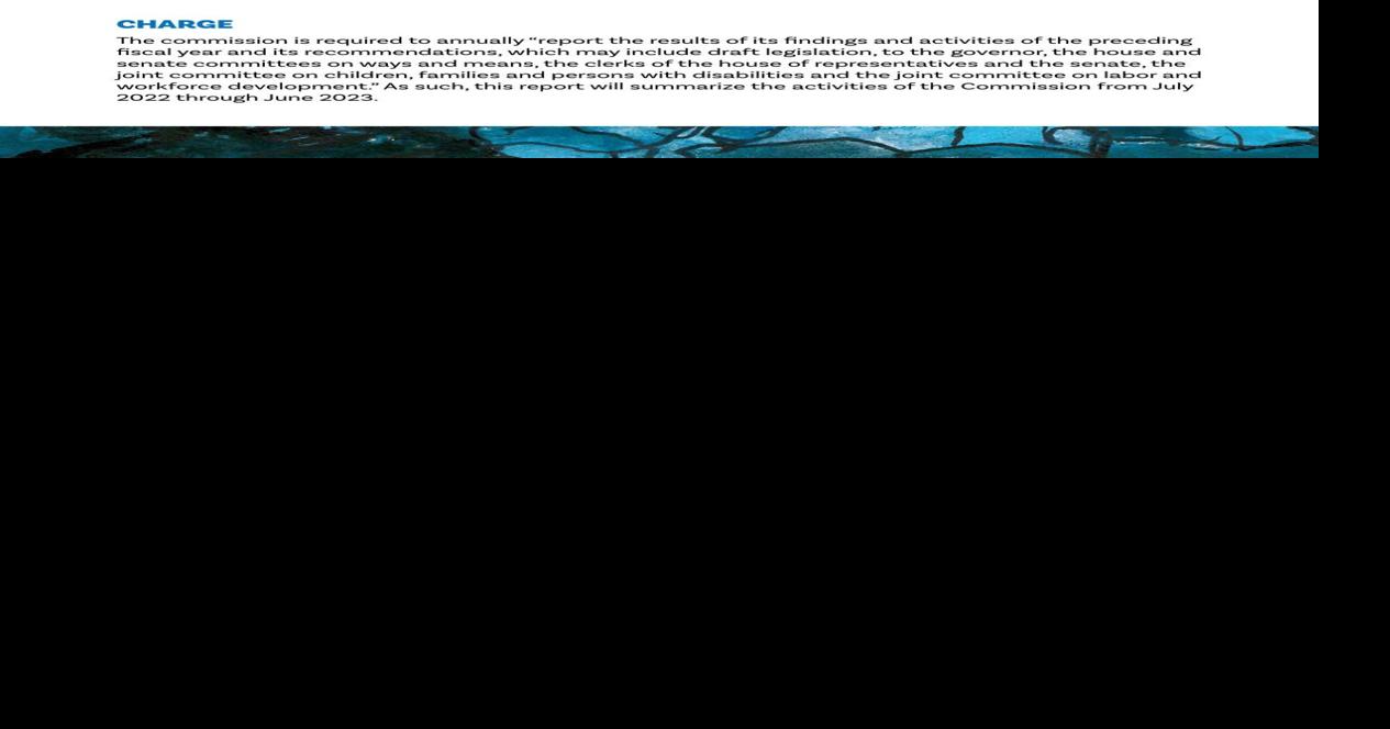 Commission On The Status Of Persons With Disabilities Report ...