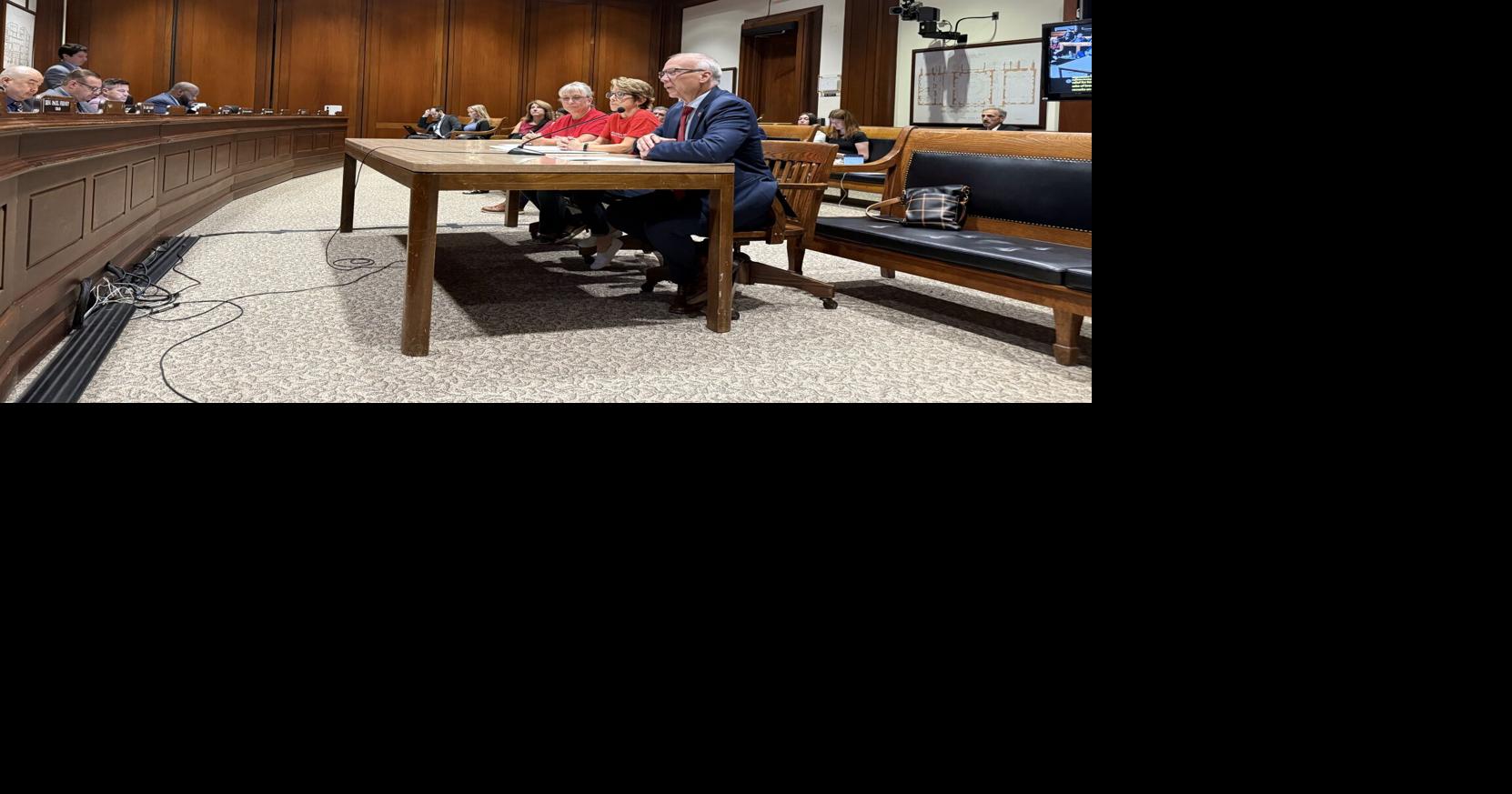 Insurance, concrete fees eyed to help address crumbling foundations