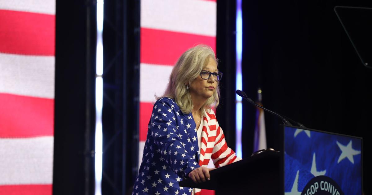 Top judge denies Manning Martin appeal for ballot access