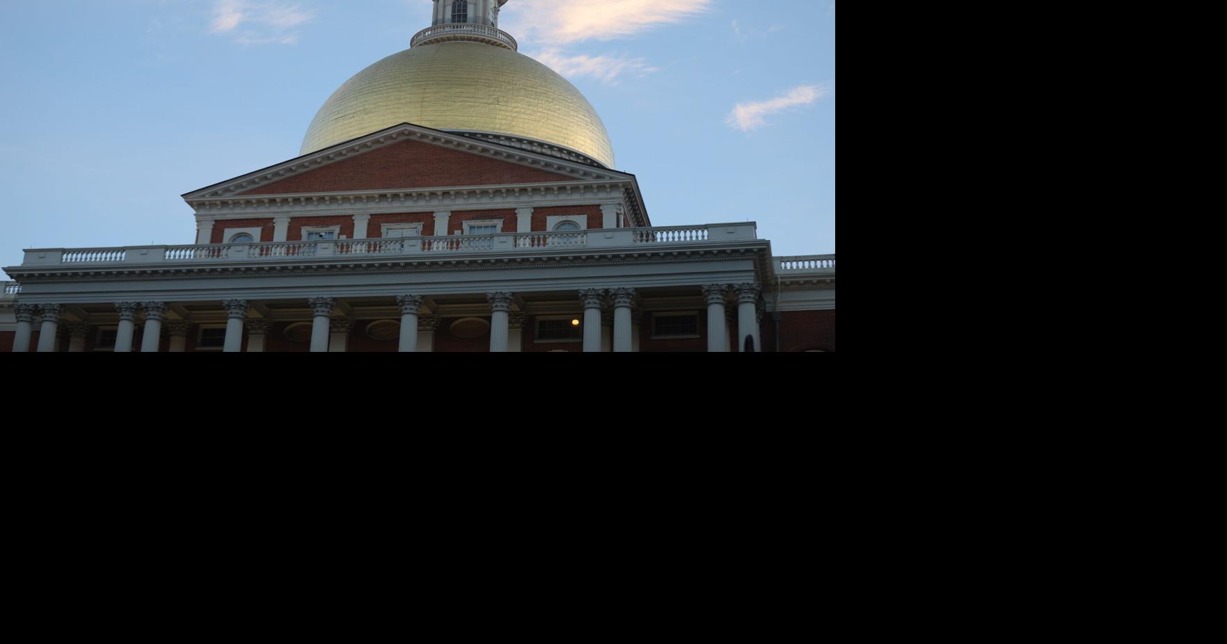Legislative Primary Primer: Progressive candidates creating pockets of competition