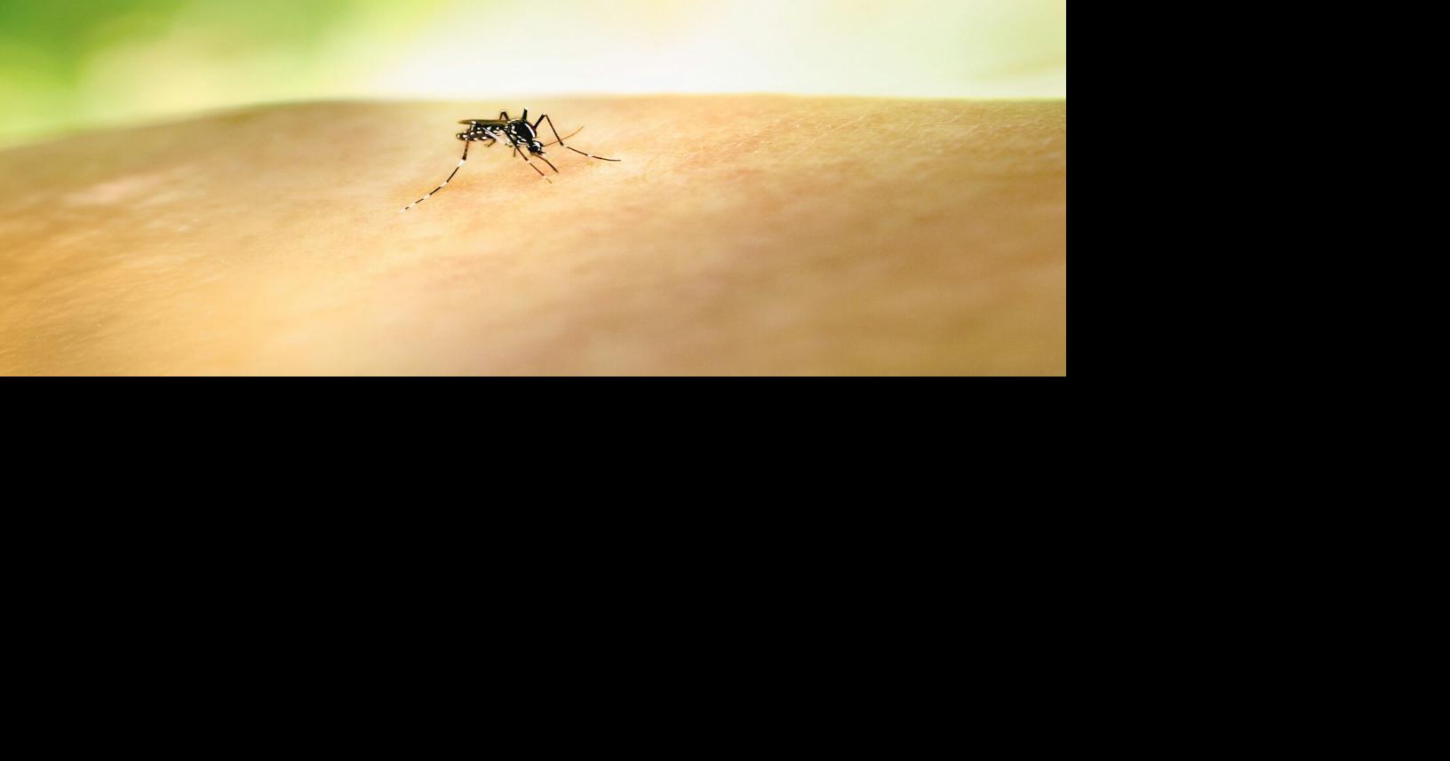 Mosquito in Clarksburg provides season's first West Nile virus sample