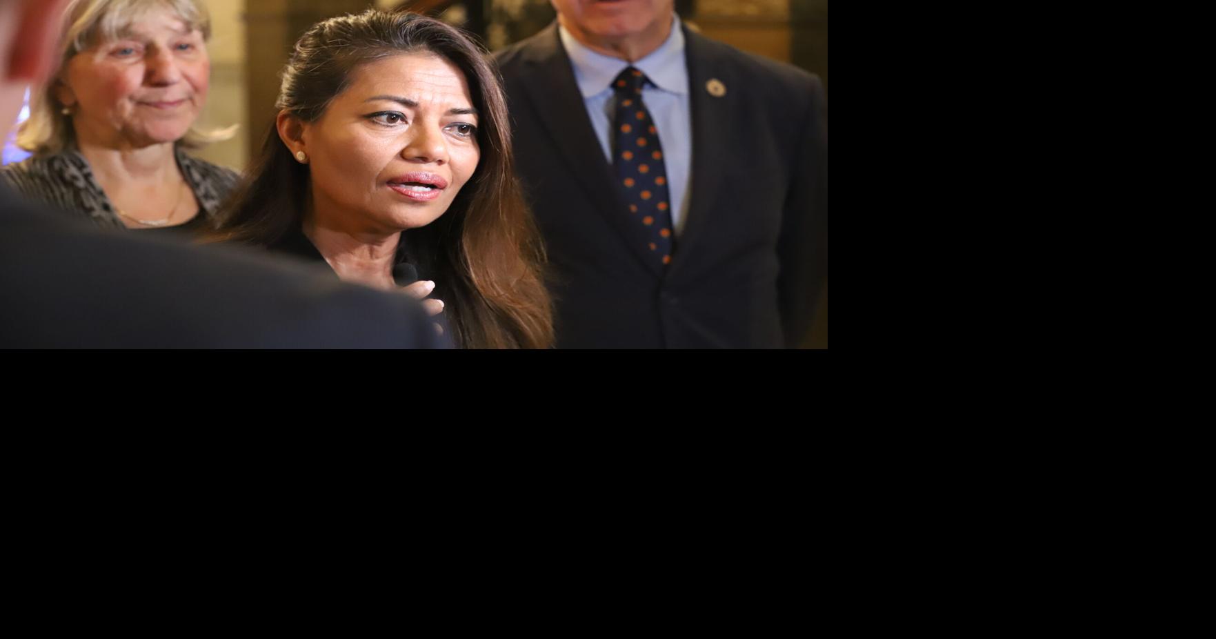 Howard at Senate budget avail | | statehousenews.com