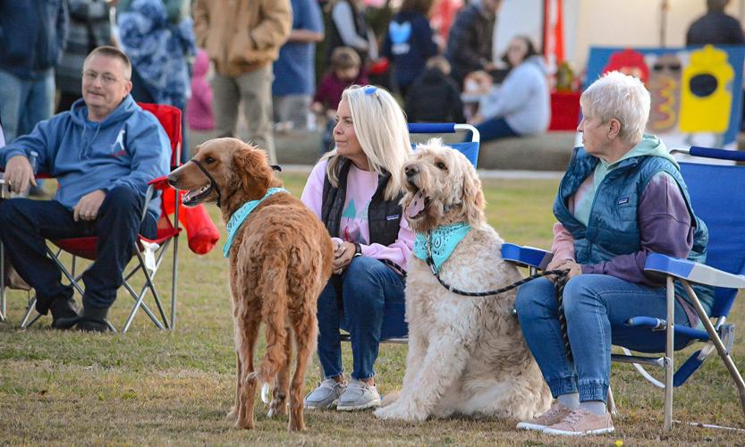 2022 Oak Island Christmas Tree Lighting Photo Gallery Photo & Video