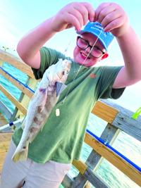 all fishing poles Fishing rod types explained  DECKEE