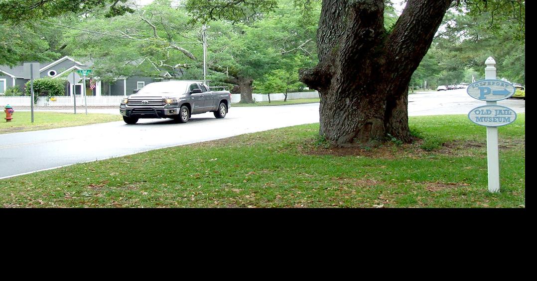 SFC seeks to register city's giant live oaks Community Focus