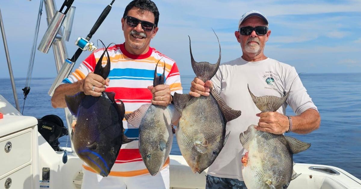 Early August fishing mix includes a tropical storm | Sports ...