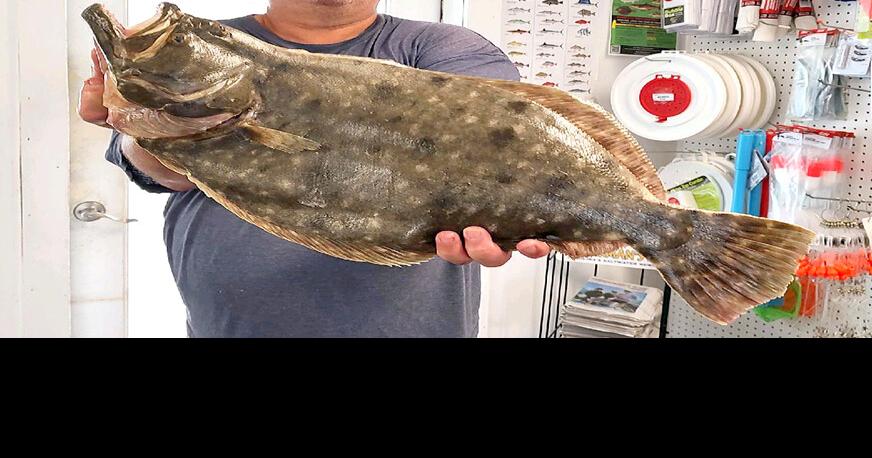 Flounder close to structure often difficult to fish