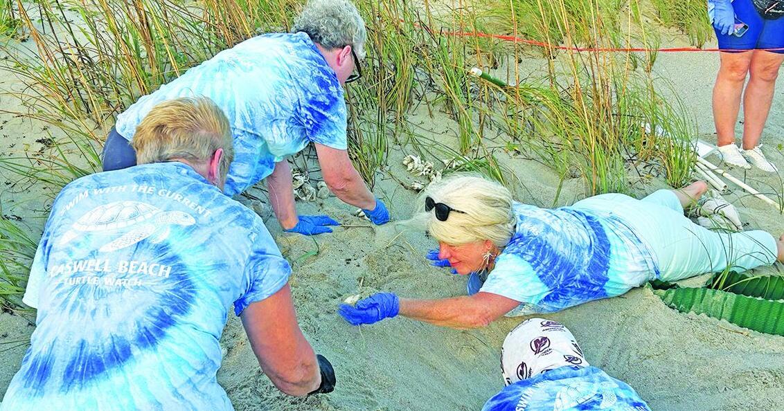 Caswell, Oak Island eye record year for sea turtle nests By Eliot Duke, Staff Writer Jul 29, 2026 Jul 29, 2026 Updated 29 mins ago