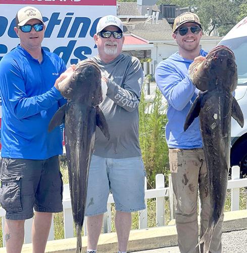 Fishing report: get ready – summer arrives June 21, Sports