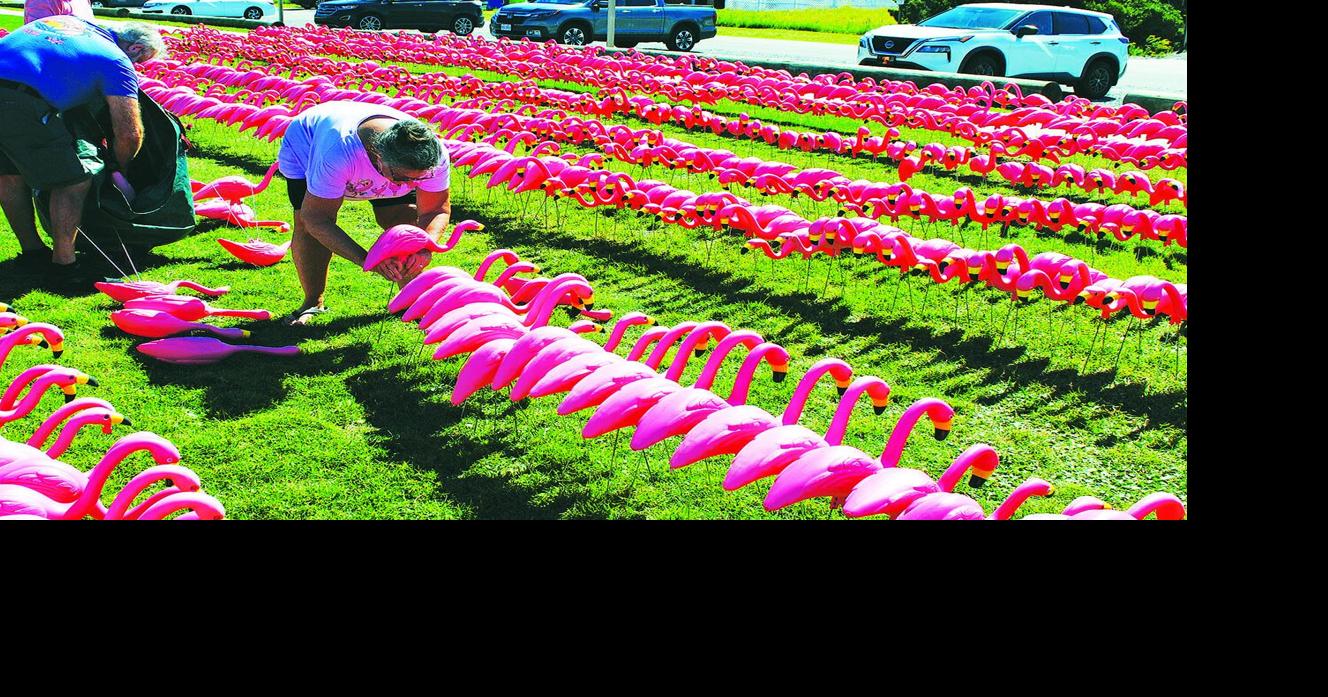 Pledge the Pink returns with record-setting display By Eliot Duke, Staff Writer Oct 14, 2026 Oct 14, 2026 Updated 6 mins ago