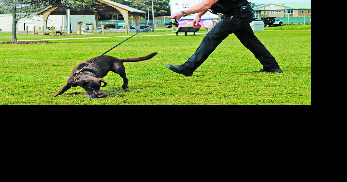 Oak Island K-9 officers, handlers back on the job By Eliot Duke, Staff Writer Oct 21, 2026 Oct 21, 2026 Updated 16 mins ago