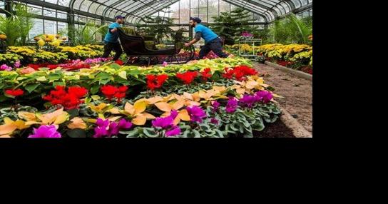 Things to do in Niagara this weekend - Vimarsana News