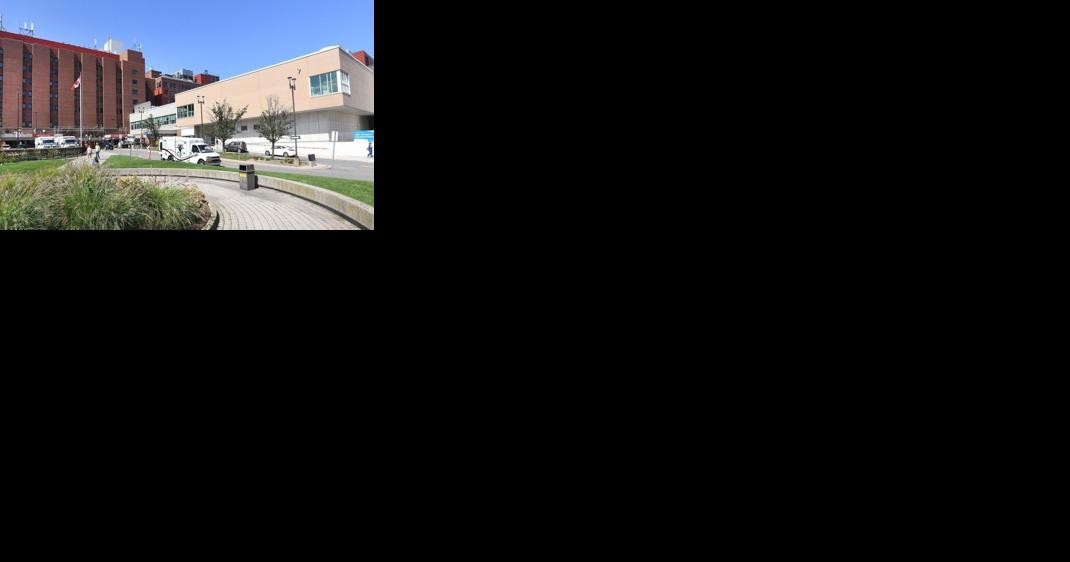 'Gridlock' at Hamilton hospitals with respiratory season - Vimarsana News