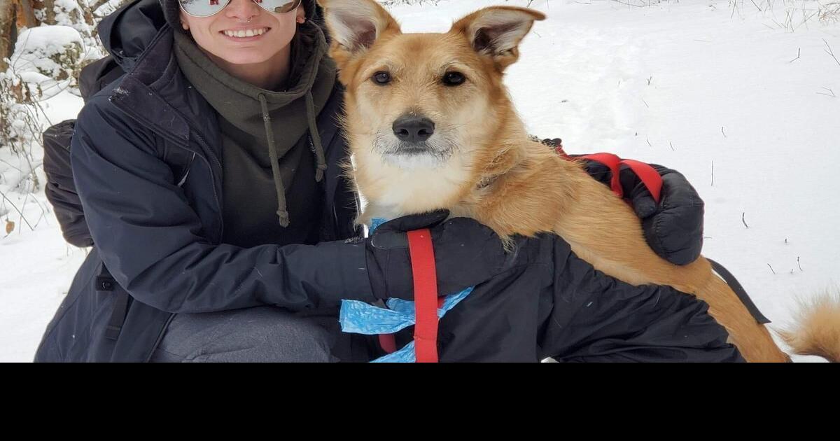 Family calls dogs’ WestJet experience ‘heartbreaking’