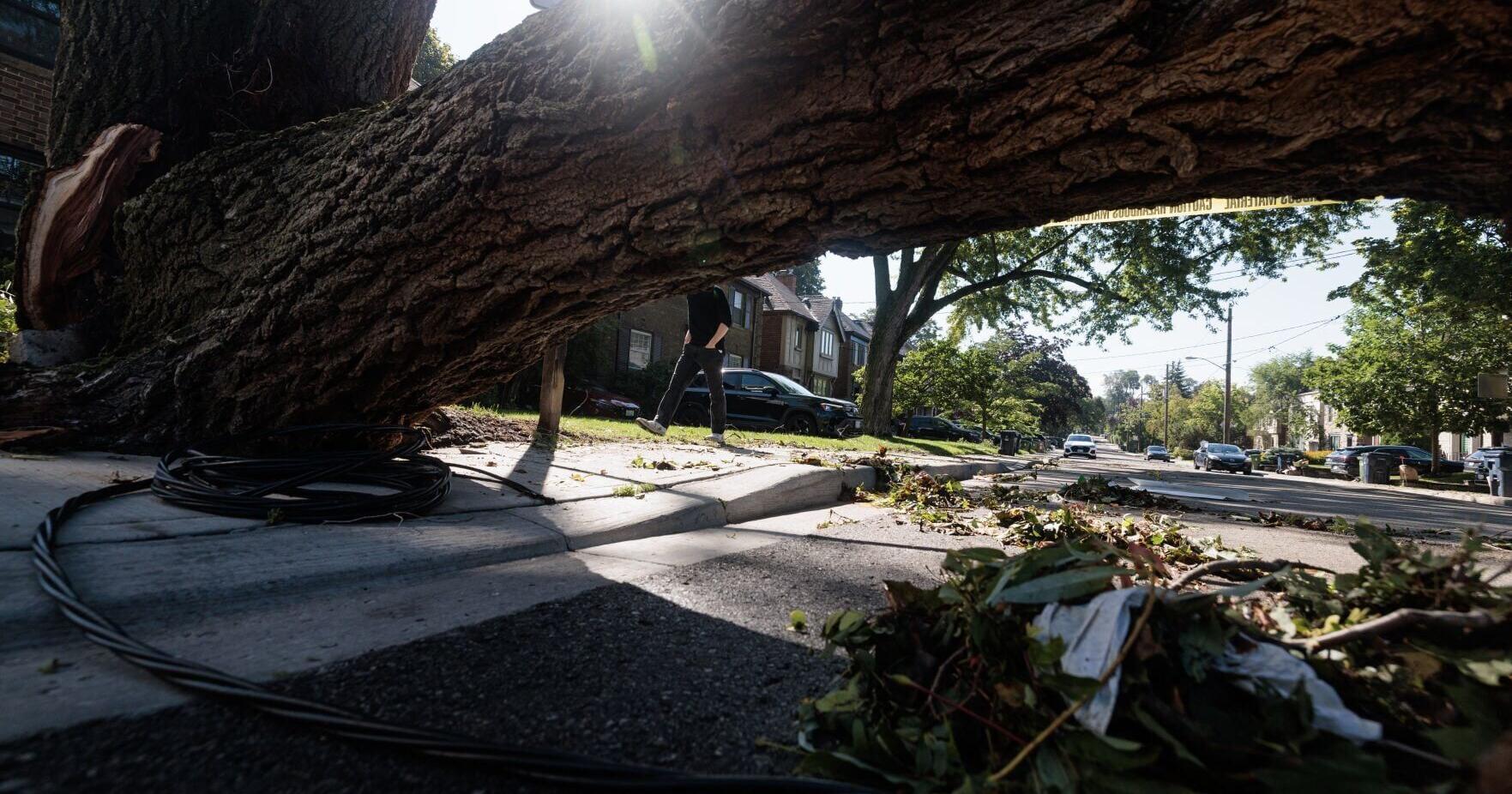 It was just this banging sound : Resident recounts intense hail