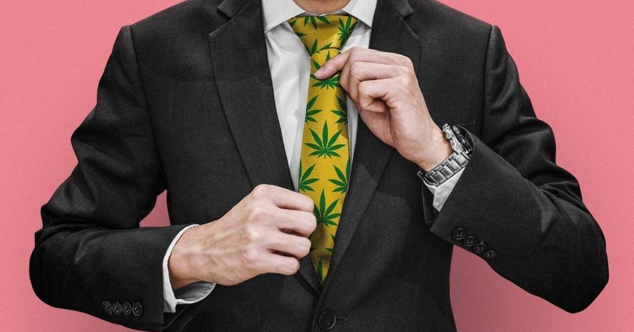 The Niagara Falls 420 Expo returns to Niagara - Vimarsana News