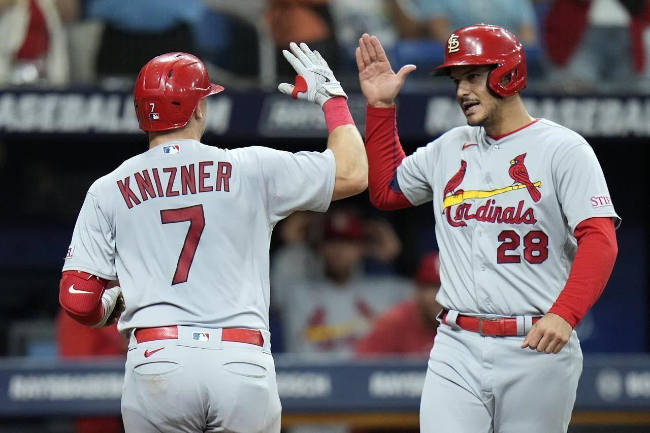 Paul Goldschmidt surpasses 1,100 RBIs with 2-run single in Cardinals' 6-4  victory over Rays - ABC News