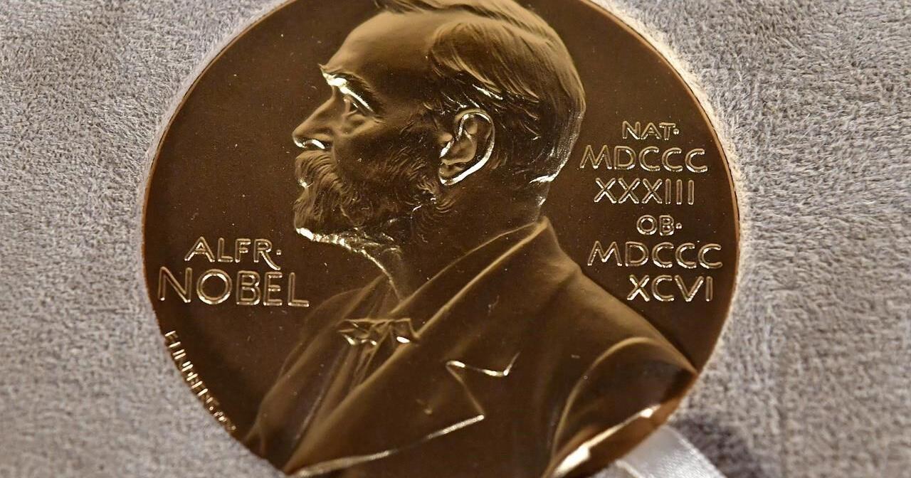 Committee says 285 people and organizations nominated for the 2024 Nobel Peace Prize - Vimarsana News