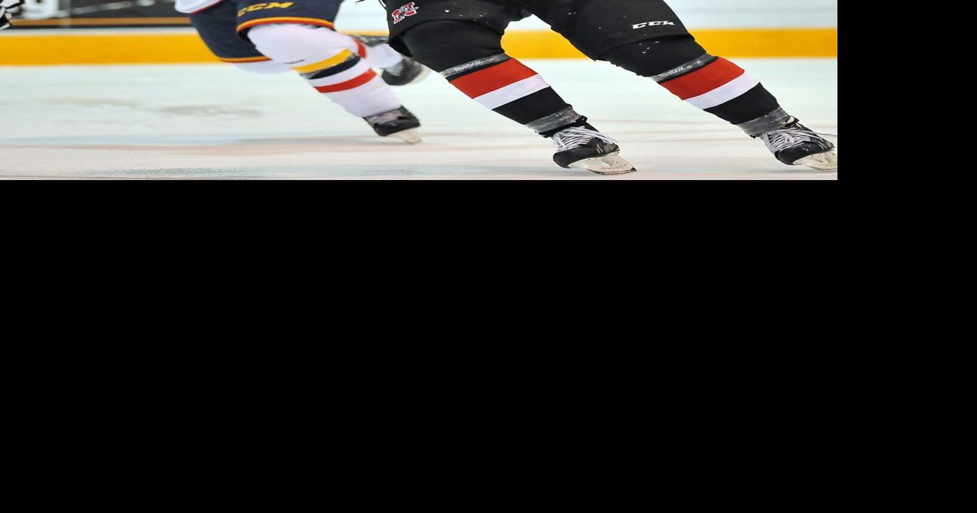 Niagara IceDogs will honour Dougie and Freddie Hamilton
