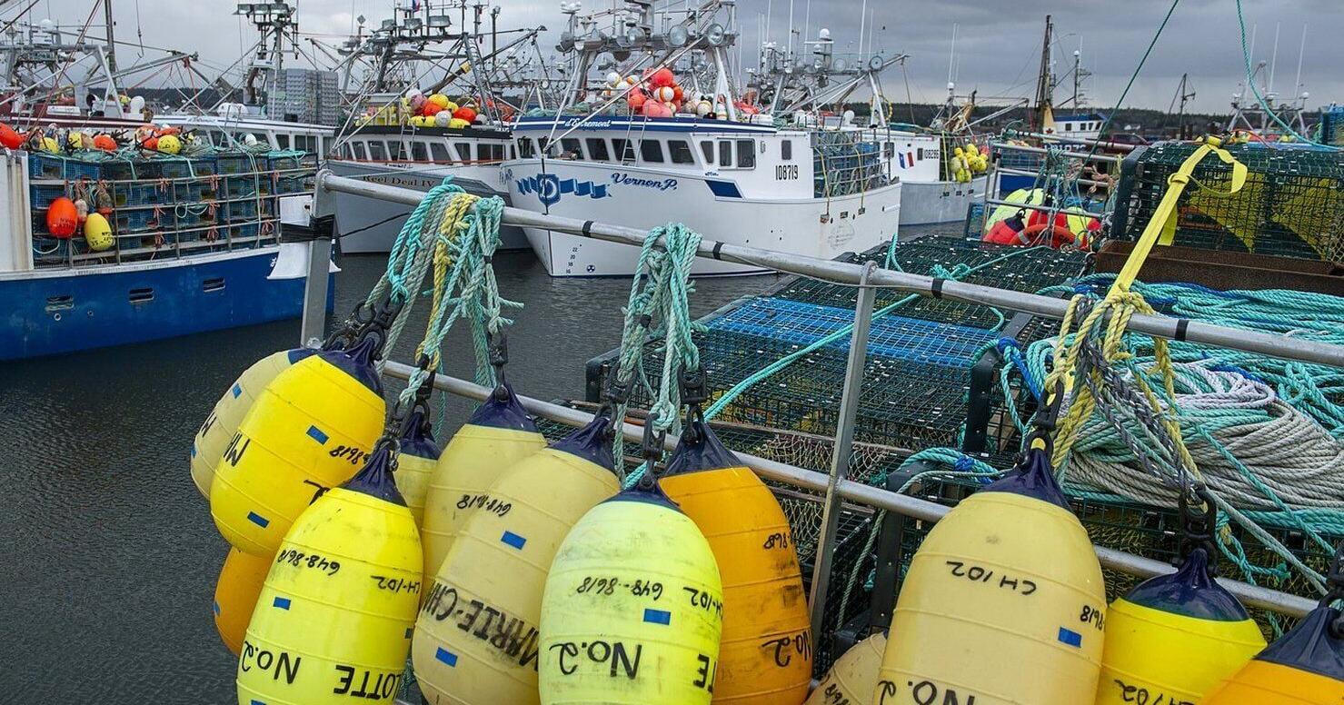 Charges laid against two Nova Scotia businesses accused of illegal lobster buying