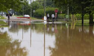 Flash flood: North Niagara finds basements, crops submerged after persistent deluge
