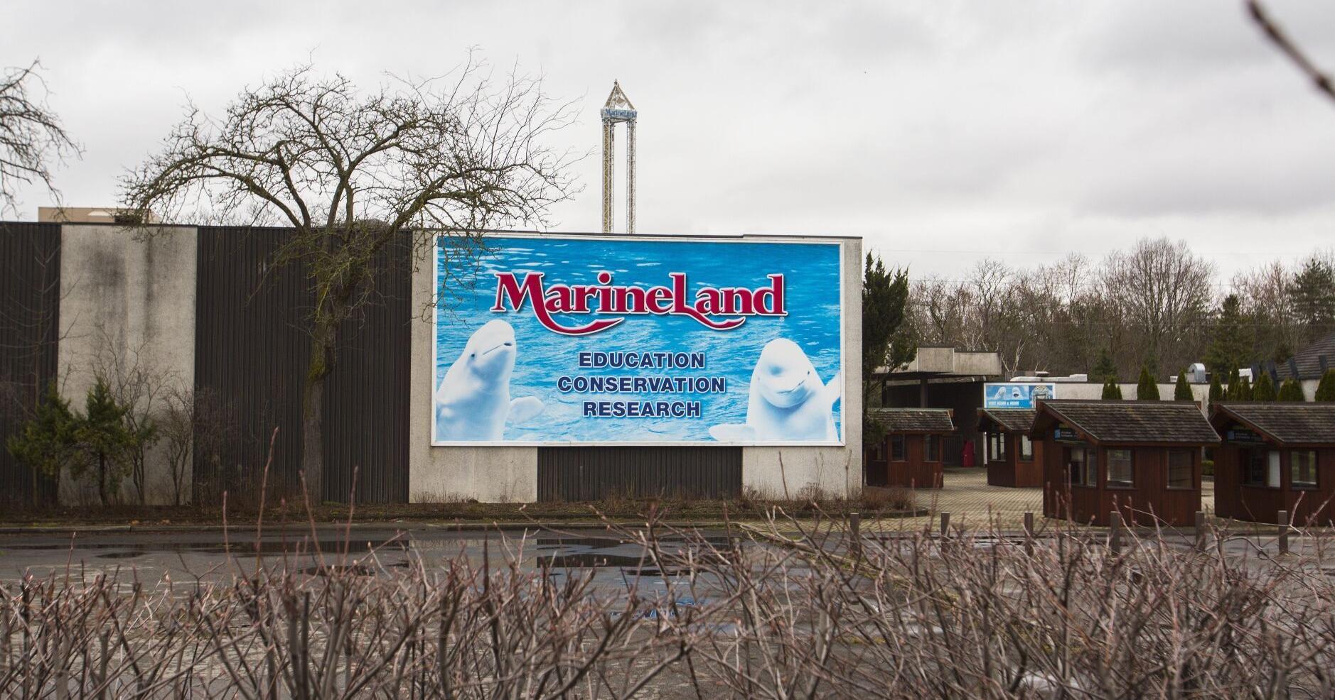 Marineland opens for season June 28 - Vimarsana News