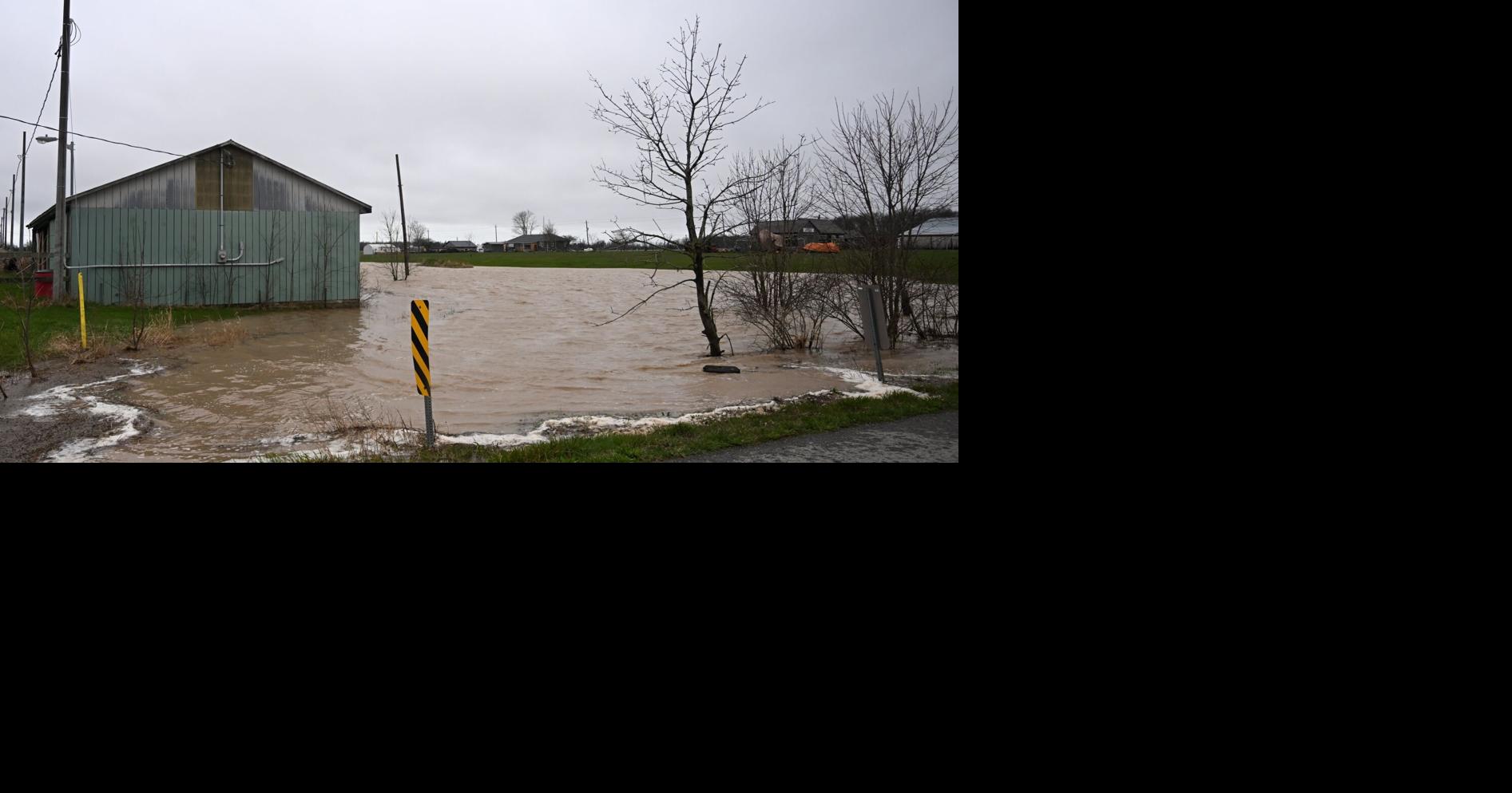 NPCA issues flood advisory, as rain continues