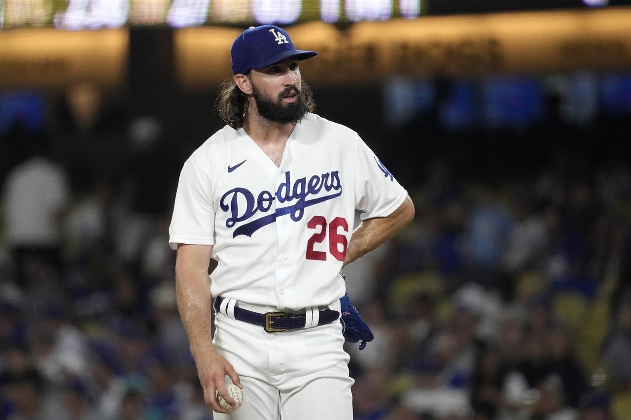 Dodgers TV reporter injured sliding down Bernie's Chalet