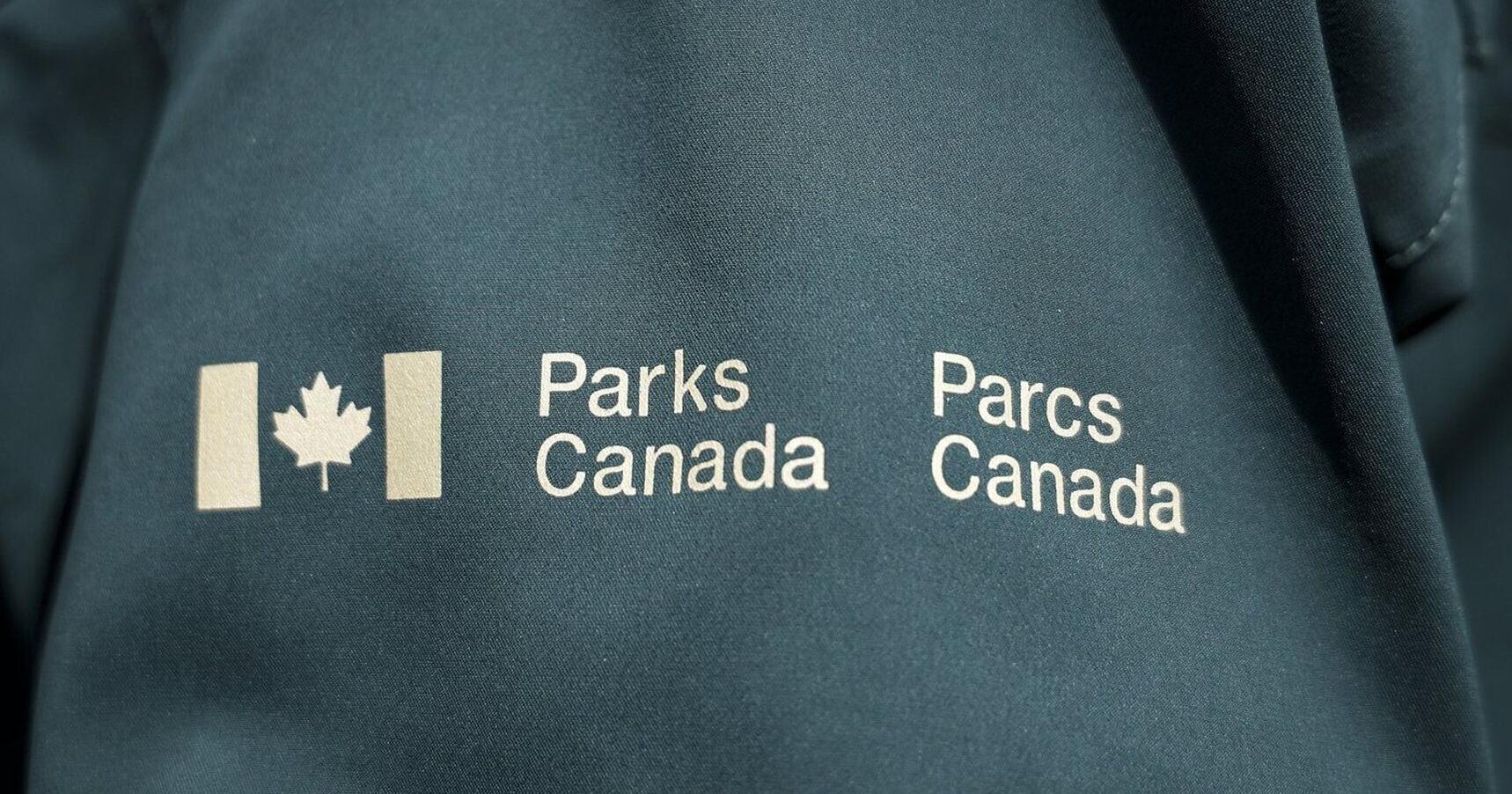 Bear activity shuts down popular campground in Bruce Peninsula National Park