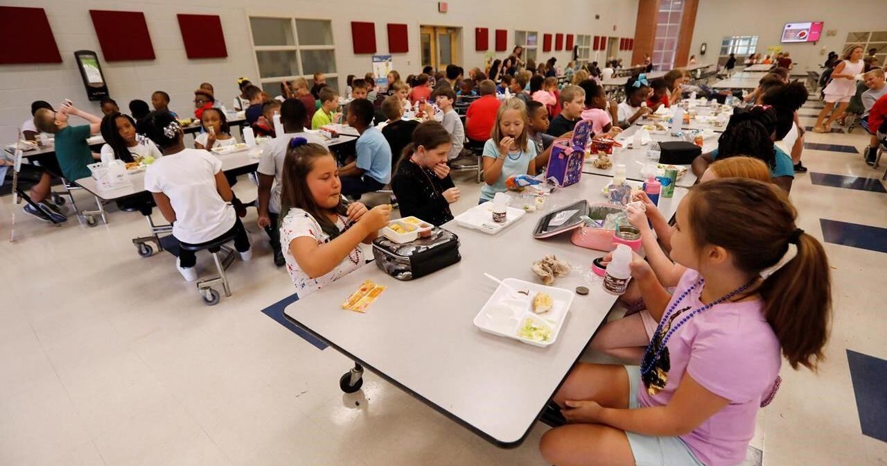 Student nutrition programs in Ontario grapple with nearly 'limitless need' - Vimarsana News