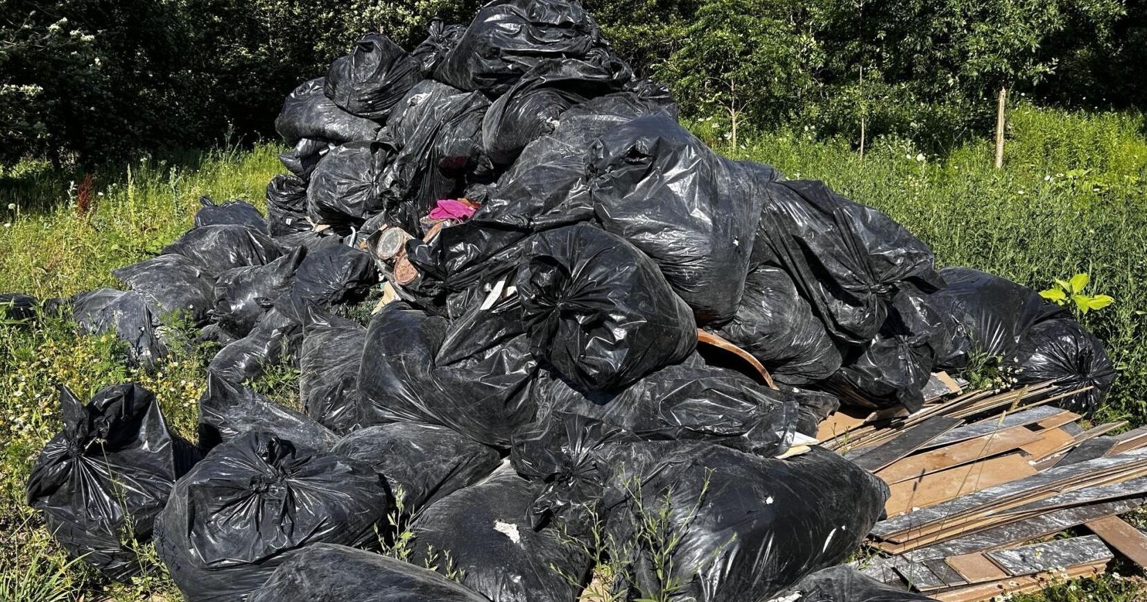 Illegal dumping a significant issue in Niagara
