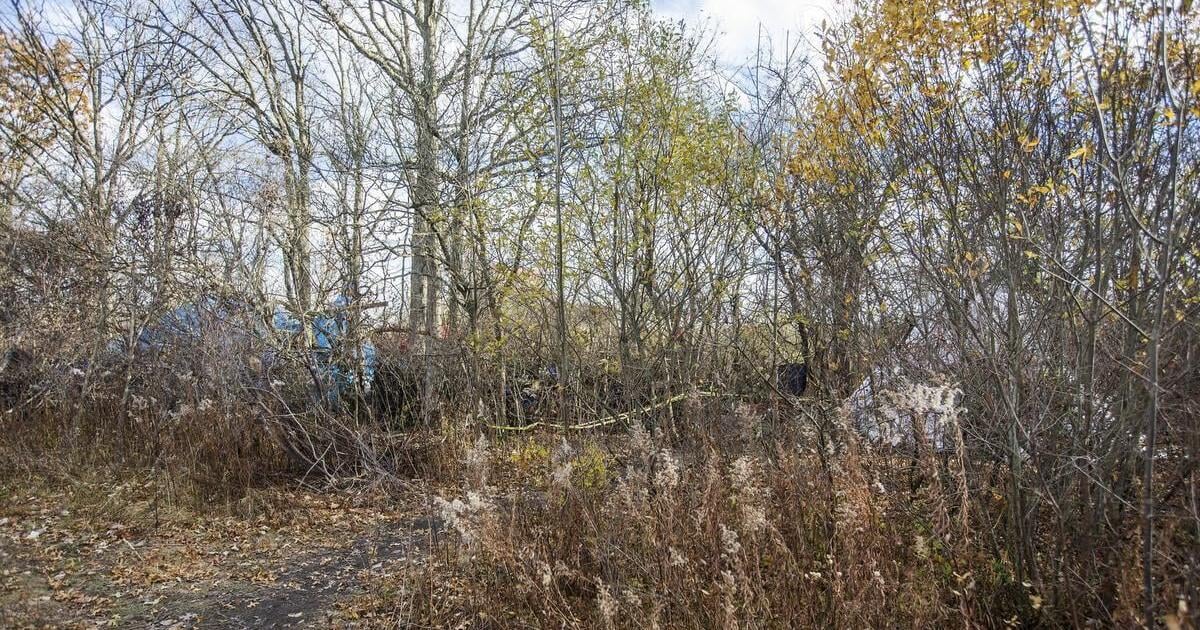 Niagara Falls neighbours of encampment fear for safety - Vimarsana News